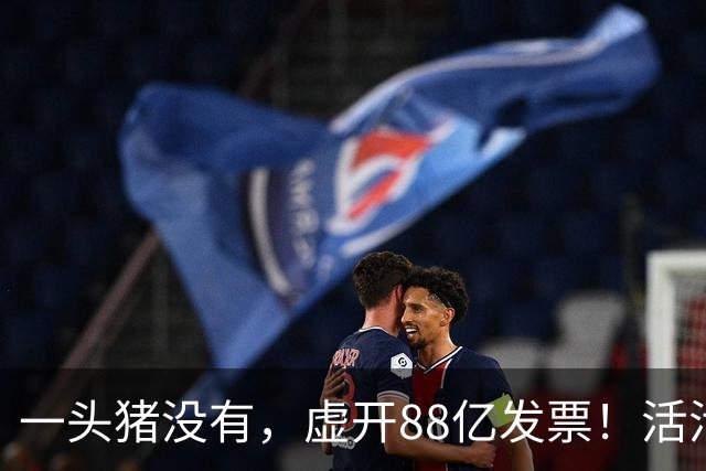 一头猪没有，虚开88亿发票！活活套走国企6000万