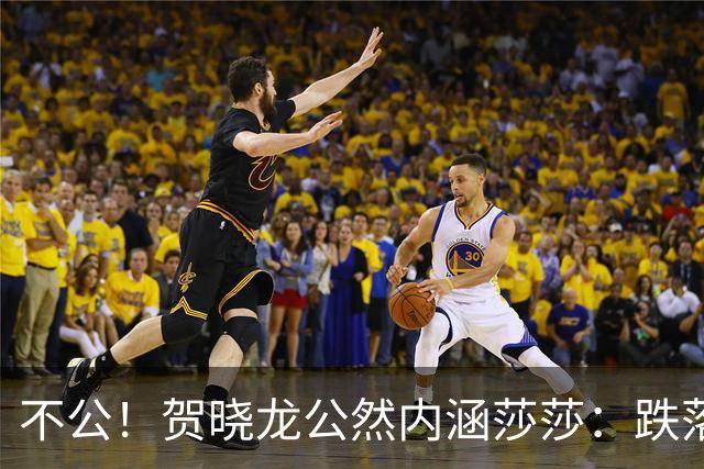 不公！贺晓龙公然内涵莎莎：跌落河北一姐之位，背后竟遭遇网络黑恶势力攻击