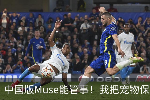 中国版Muse能管事！我把宠物保单、双11算价和周末旅行全交给了灵光2.0