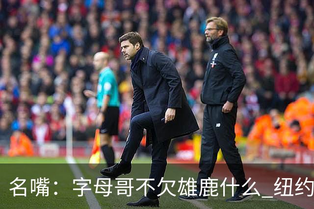 名嘴：字母哥不欠雄鹿什么 纽约现在渴望冠军