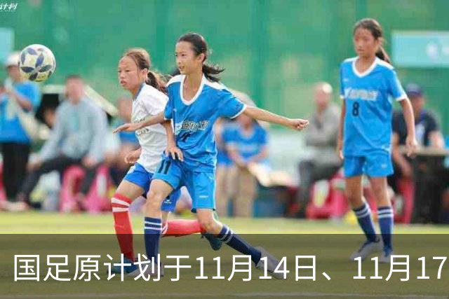 国足原计划于11月14日、11月17日在广州天河体育中心的比赛，将改为广东其他城市进行