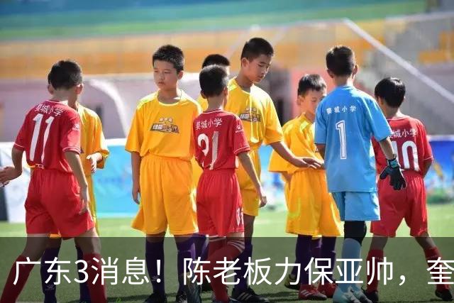 广东3消息！陈老板力保亚帅，奎因或有望回归救火，杜锋爱将再失业