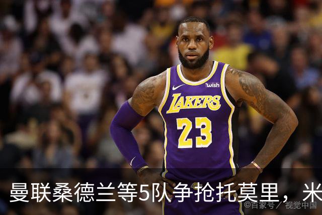 曼联桑德兰等5队争抢托莫里，米兰愿套现