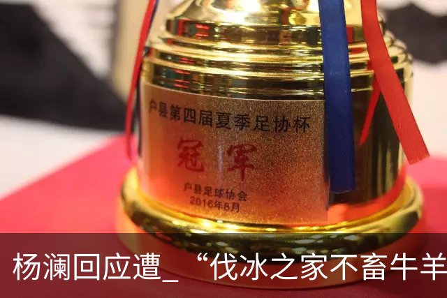 杨澜回应遭 “伐冰之家不畜牛羊”调侃：我不适合直播间吆喝卖百货