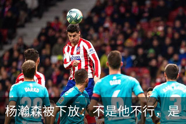 杨瀚森被下放：不是他不行，是“型号”不对