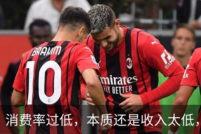 消费率过低，本质还是收入太低，提高分配收入才是重点