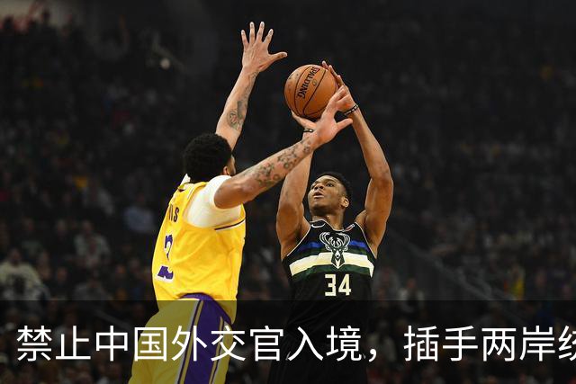 禁止中国外交官入境，插手两岸统一，这个国家比美国还要过分？