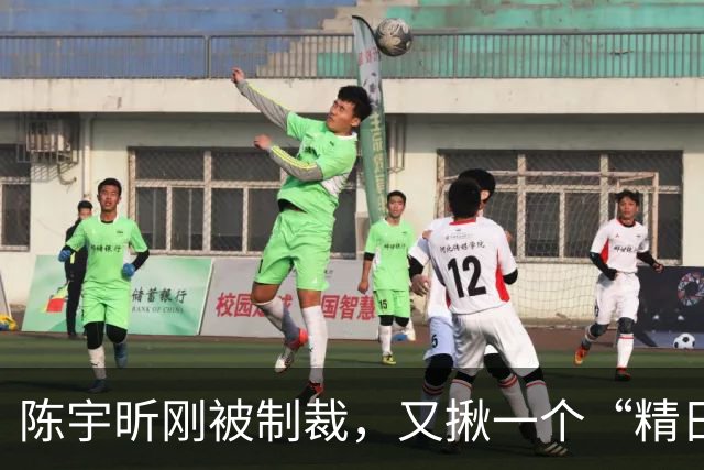 陈宇昕刚被制裁，又揪一个“精日”人员：竟然还是本土企业老板