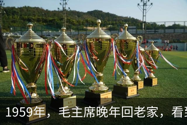 1959年，毛主席晚年回老家，看到杨开慧照片，决定见贺子珍一面