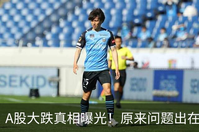 A股大跌真相曝光！原来问题出在这……